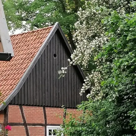 In Rumke Ferienhaus Bippen