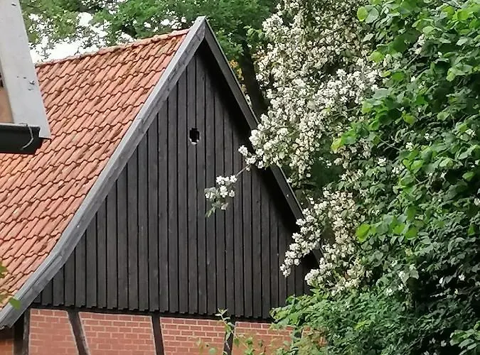 In Rumke Ferienhaus Bippen